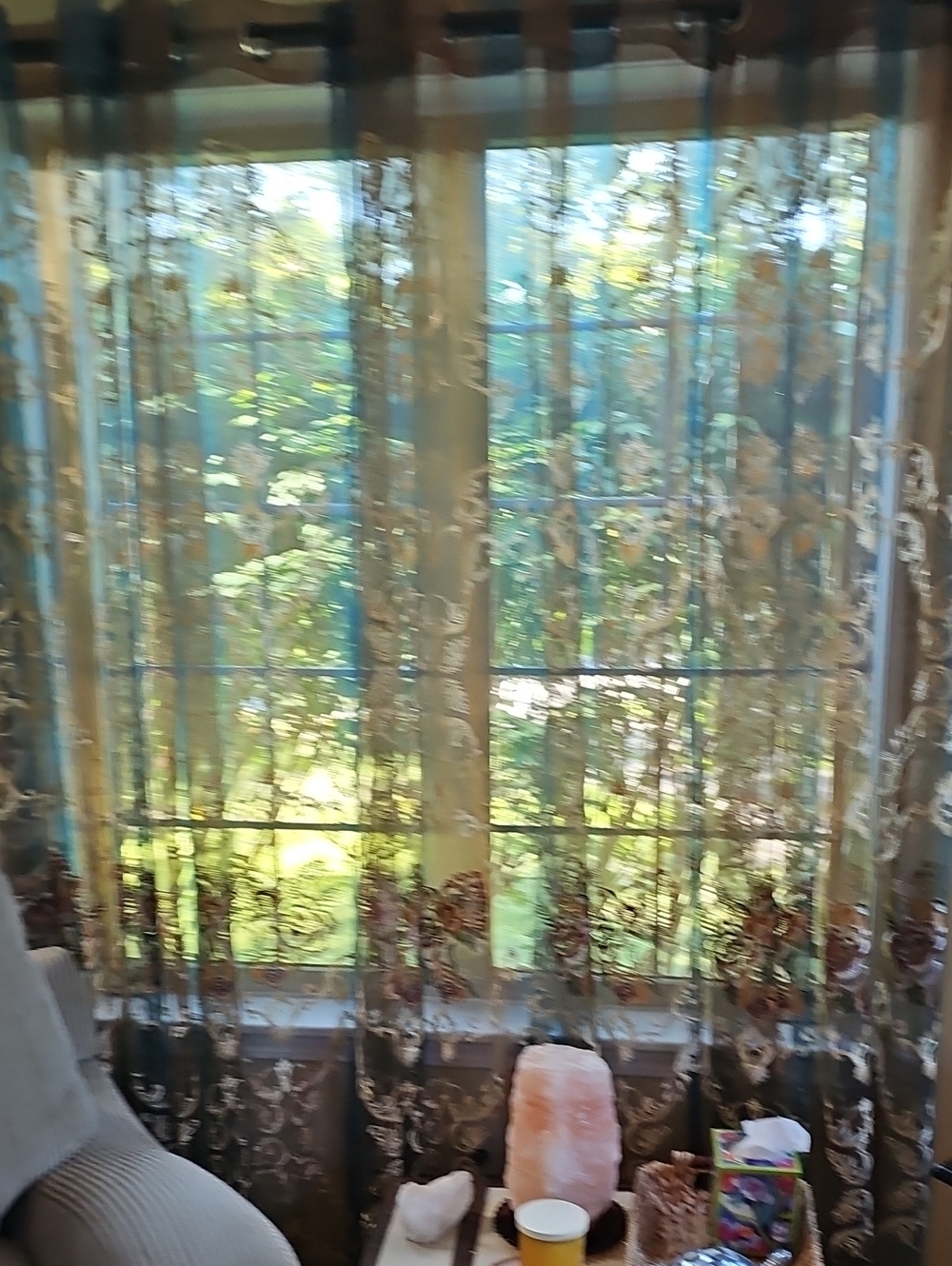 Sheer Floral Lace Curtain 2 Curtains Panel in Iridescent Rose 52x84"L New